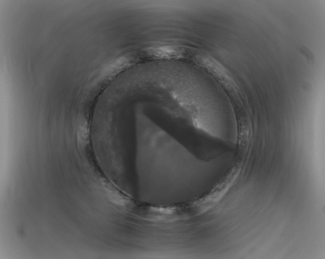 X0000115720469200911121454
