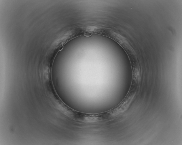 X0000115720470200911121454