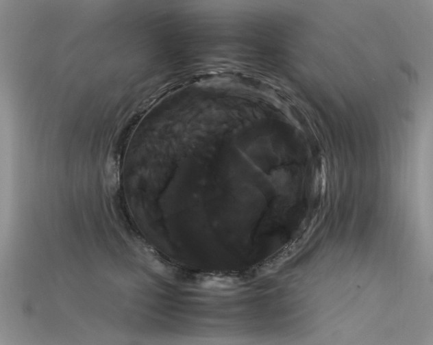 X0000115720471200911121454