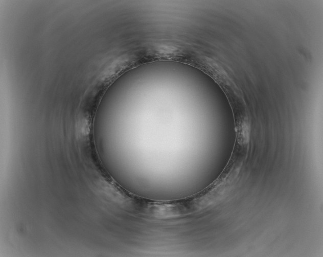 X0000115720472200911121454