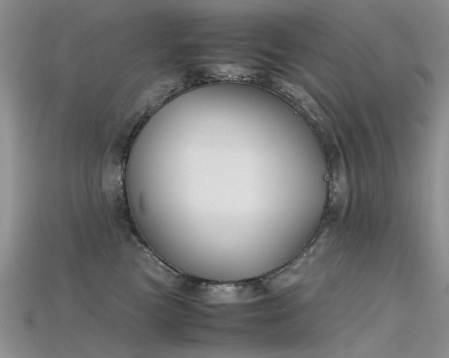 X0000115720473200911121455