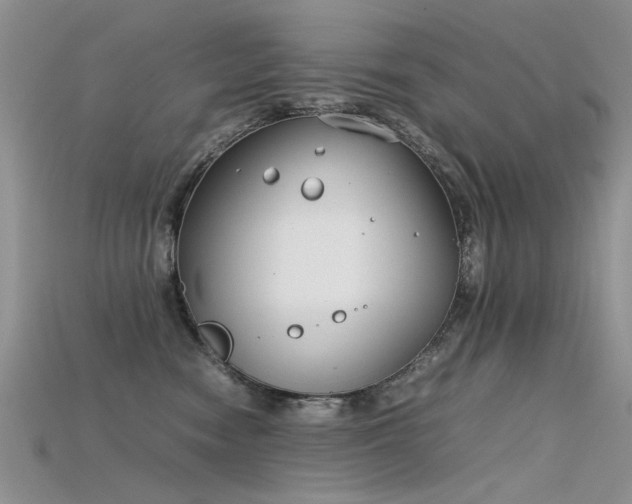 X0000115720474200911121455