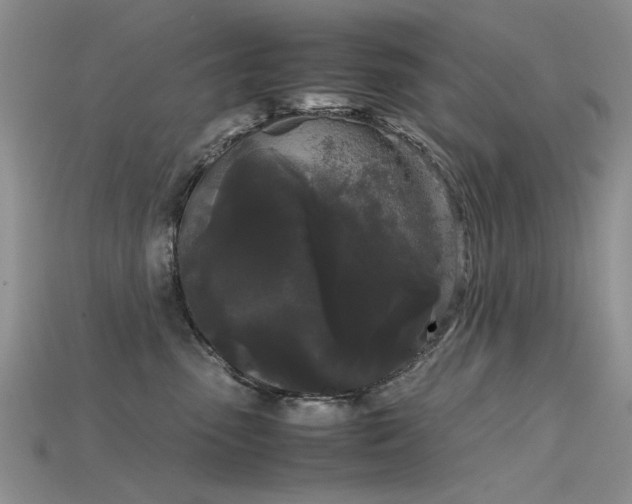 X0000115720475200911121455