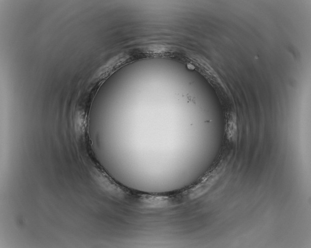 X0000115720476200911121455