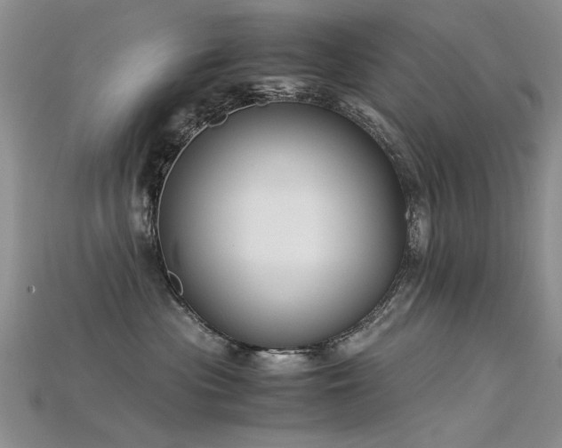 X0000115720477200911121455