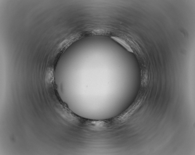 X0000115720478200911121455