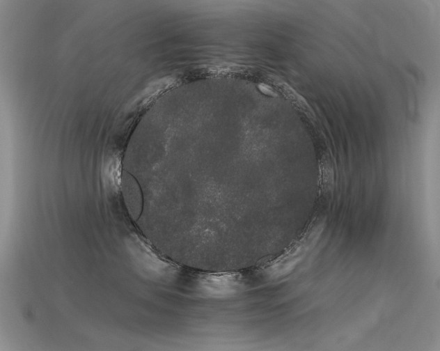 X0000115720479200911121455