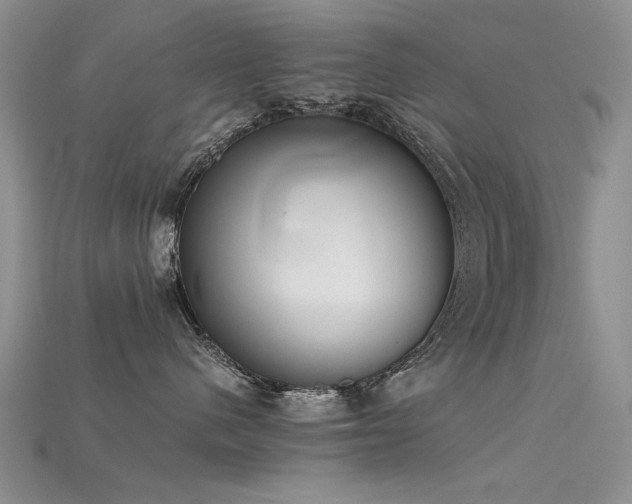 X0000115720480200911121455