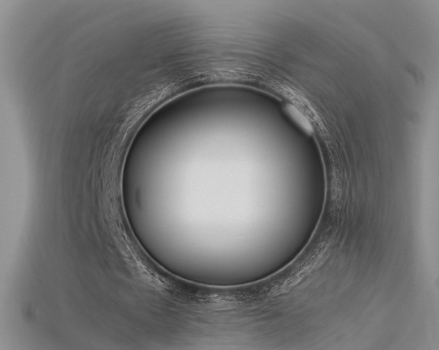 X0000115720481200911121454