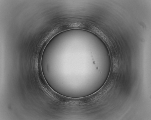 X0000115720482200911121454