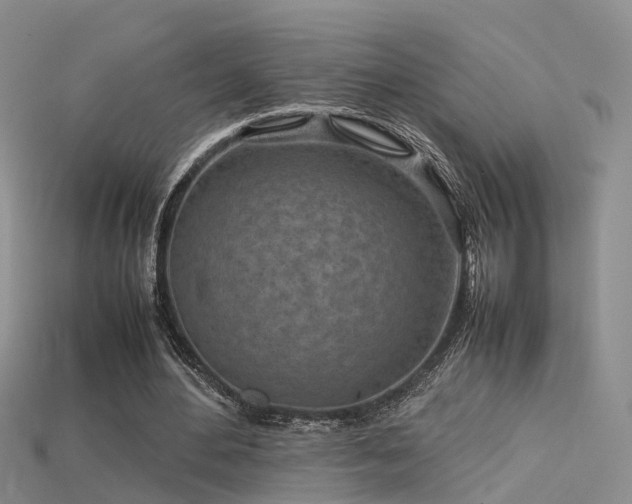 X0000115720484200911121454