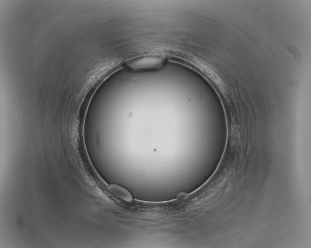 X0000115720485200911121454