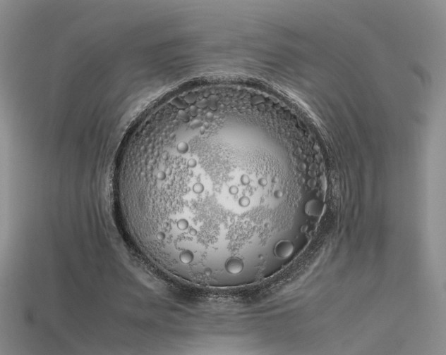 X0000115720487200911121454