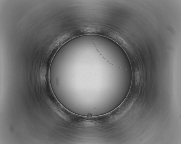 X0000115720490200911121454