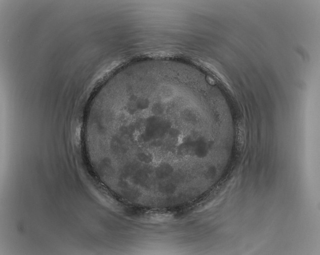 X0000115720491200911121454