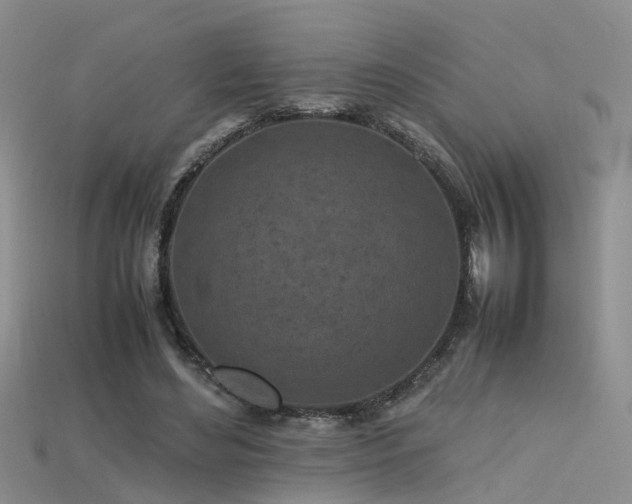 X0000115720492200911121454