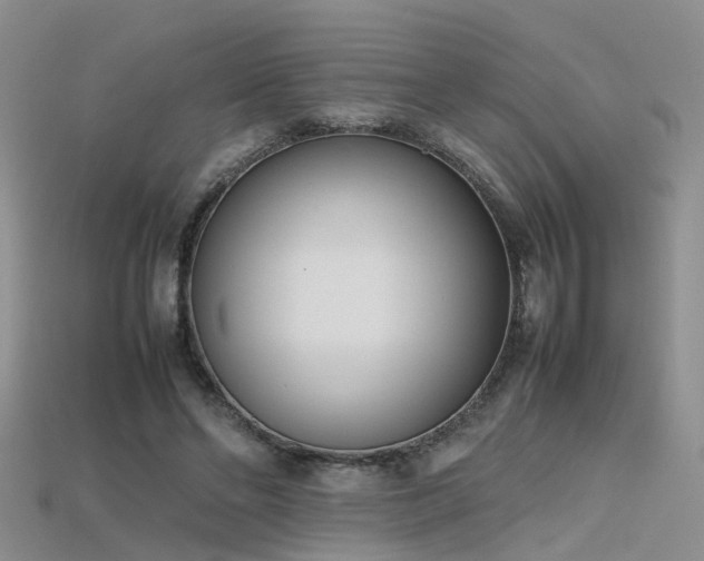 X0000115720494200911121454