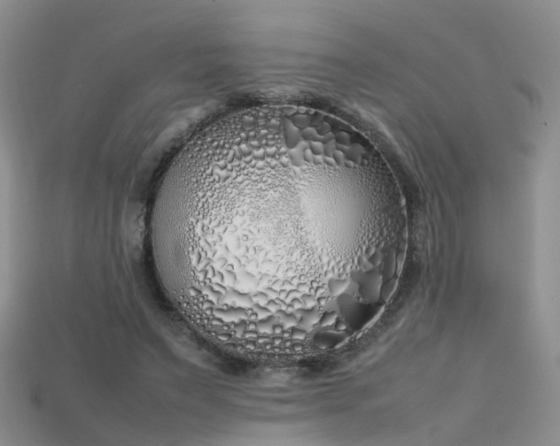 X0000115720495200911121454