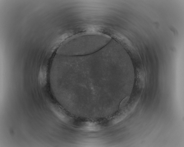 X0000115720496200911121454