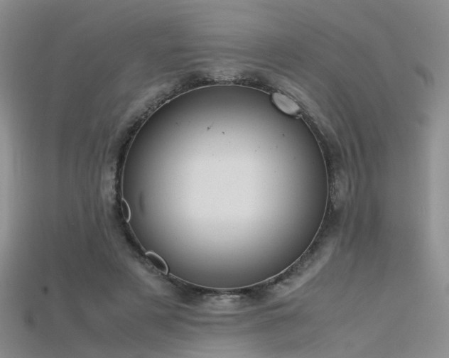X0000115720497200911121454