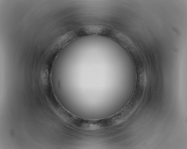 X0000115720498200911121454