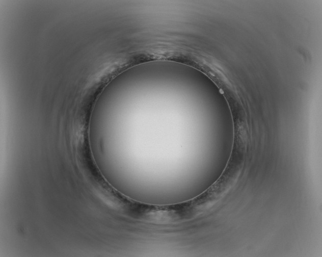 X0000115720499200911121454