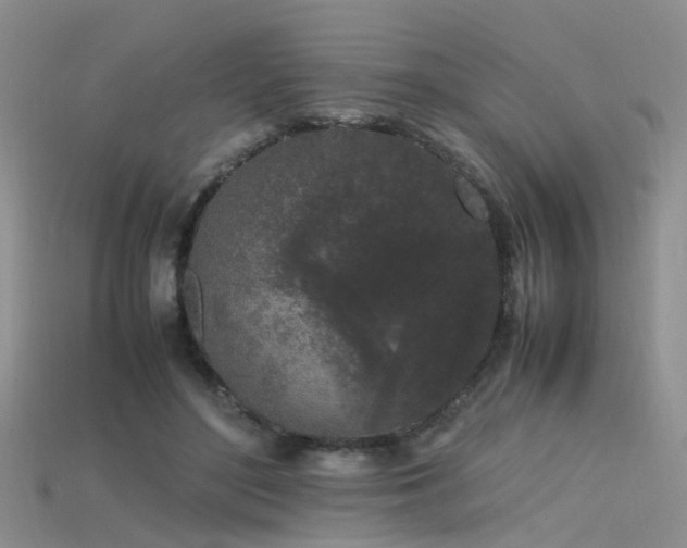 X0000115720500200911121454