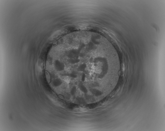 X0000115720503200911121454
