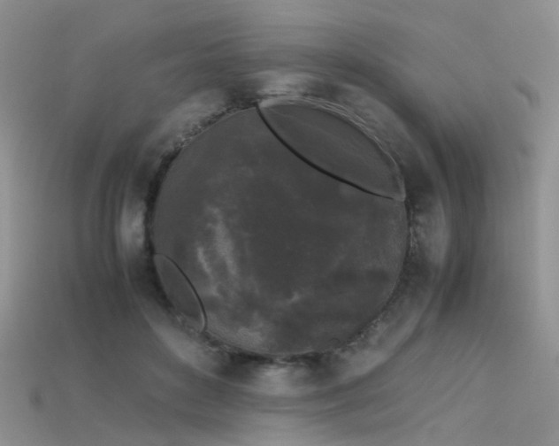 X0000115720504200911121454