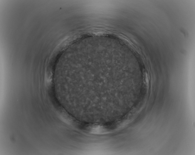 X0000115720507200911121453