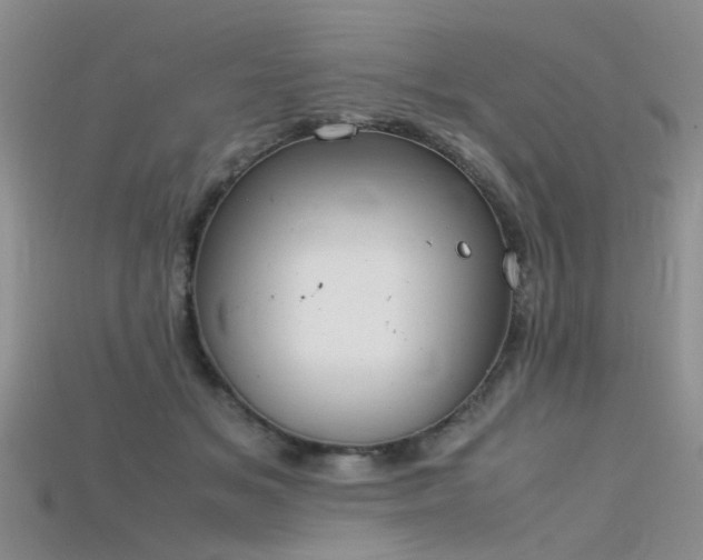 X0000115720509200911121453