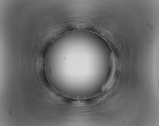 X0000115720511200911121453