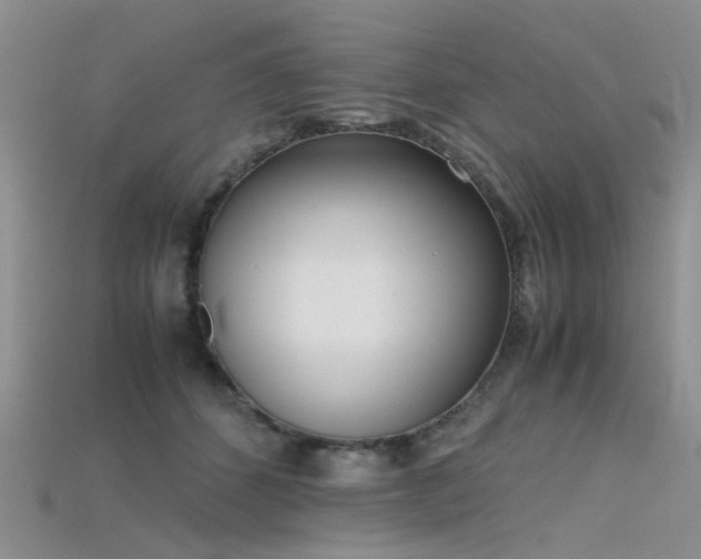 X0000115720512200911121453