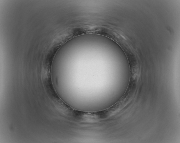 X0000115720515200911121453