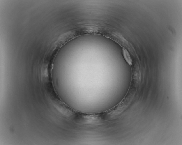 X0000115720516200911121453