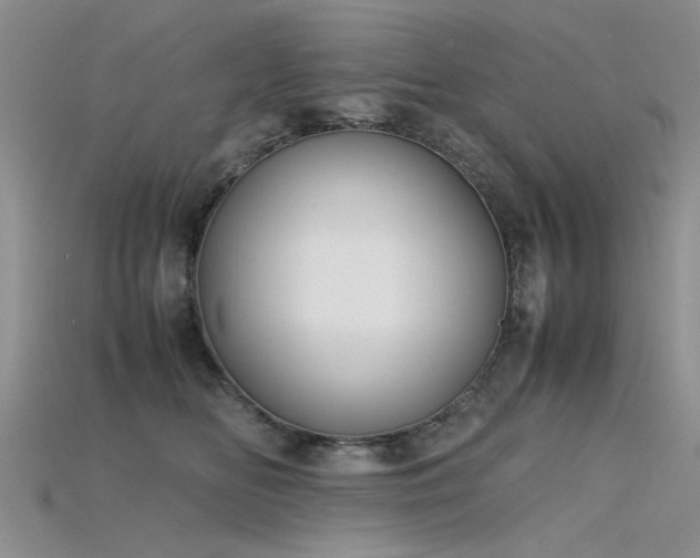 X0000115720518200911121453
