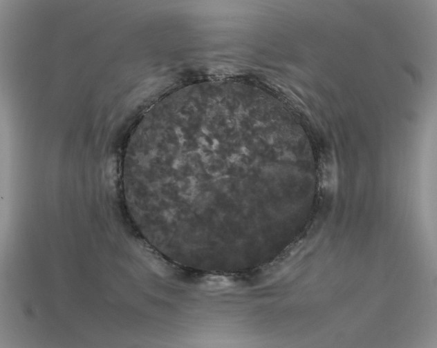 X0000115720519200911121453