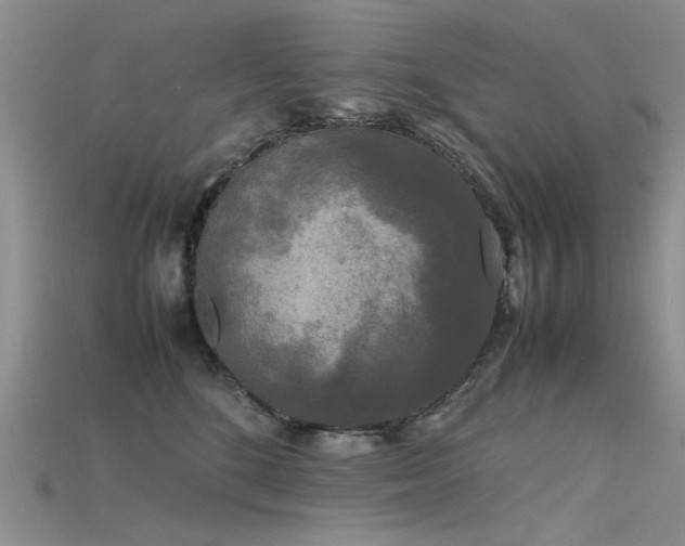 X0000115720520200911121453