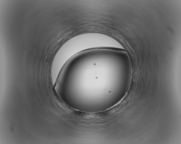 X0000115720521200911121453