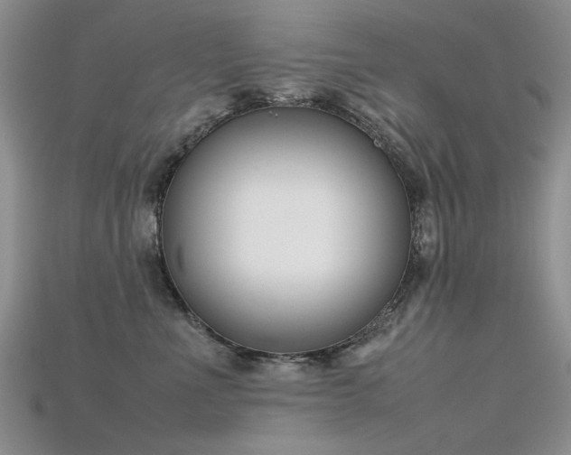 X0000115720523200911121453