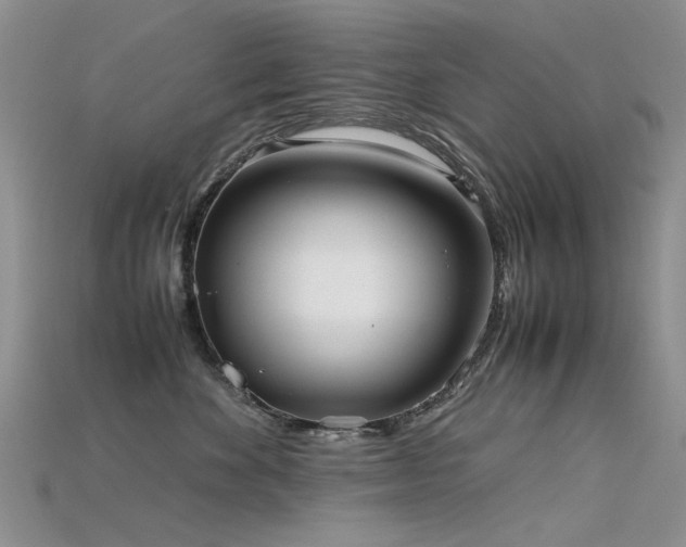 X0000115720524200911121453