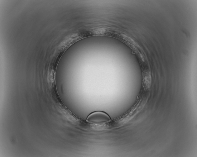 X0000115720525200911121453