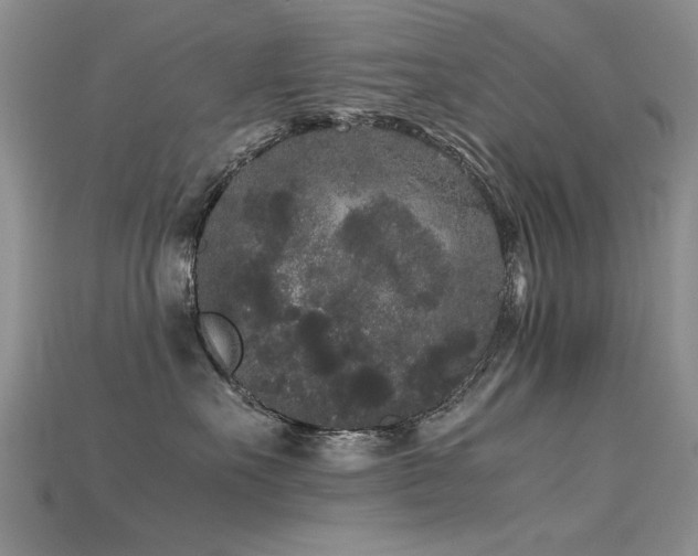 X0000115720527200911121453