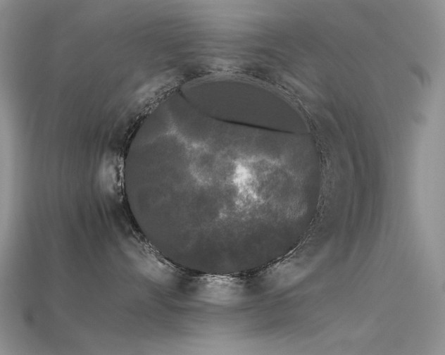 X0000115720528200911121453