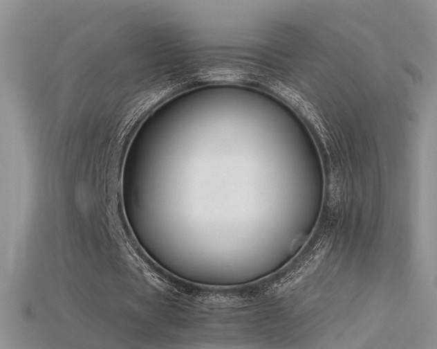 X0000115720529200911121453
