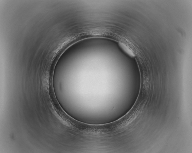 X0000115720530200911121453