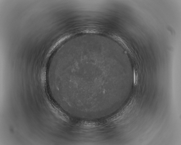 X0000115720531200911121453