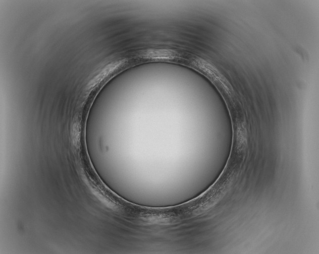 X0000115720533200911121453