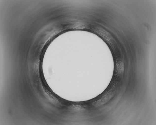 X0000115720534200911121453
