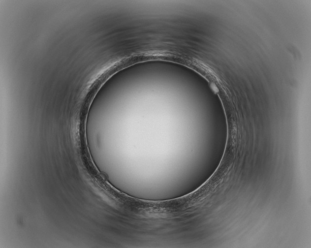 X0000115720535200911121453